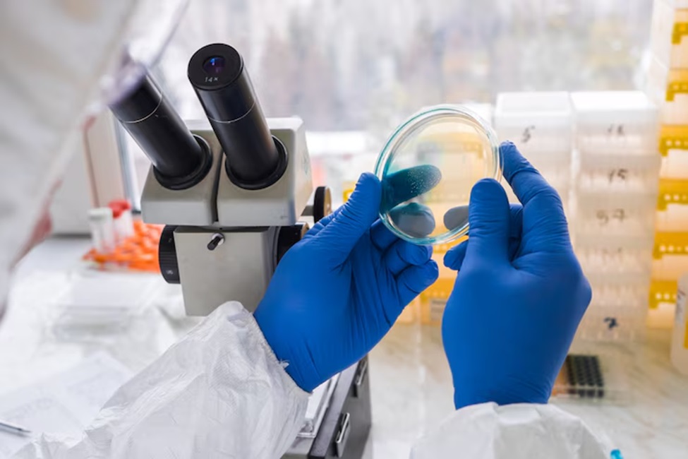 How Laboratory Testing Contributes To Accurate ADHD Diagnosis - Health ...